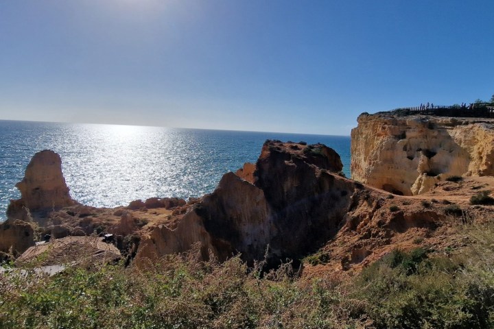a herd of cattle standing on top of a rocky mountain